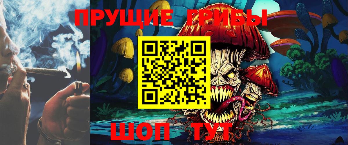 Можга  Галлюциногенные грибы GOLDEN TEACHER  наркота  Вход с VPN 