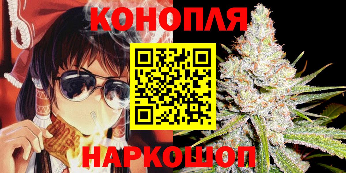Каннабис сатива Можга